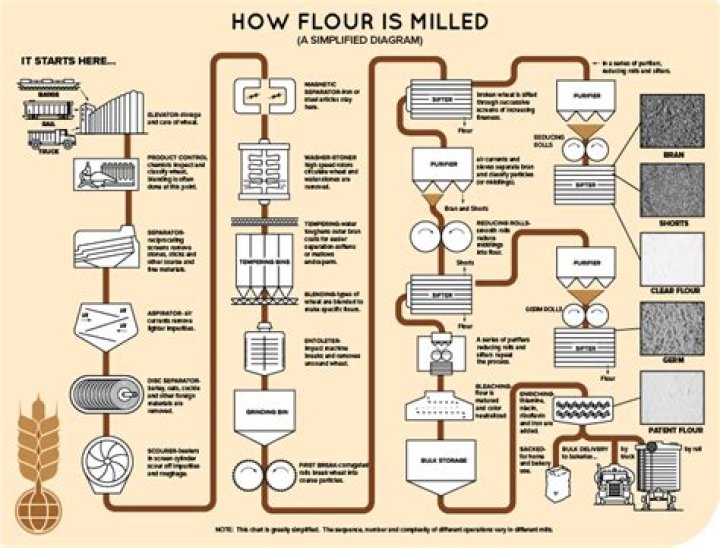Where does enriched flour come from?