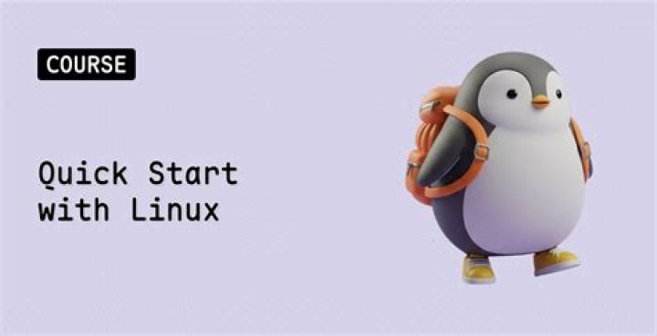 Where is cgi-bin in Linux?