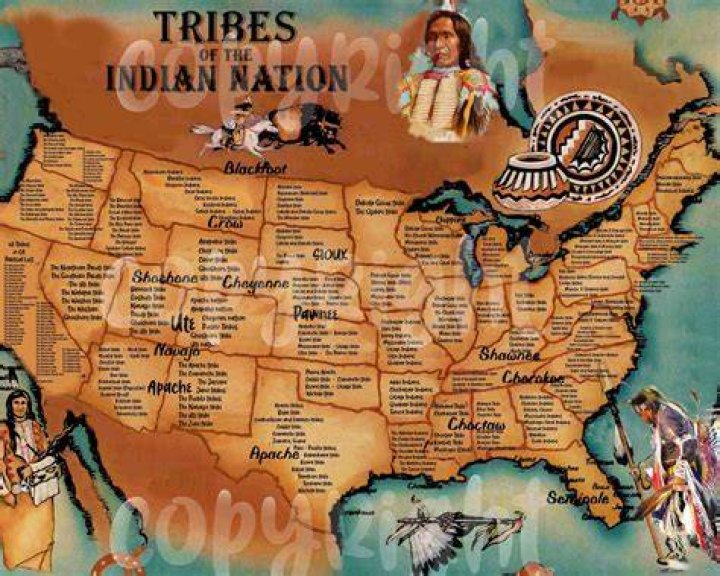Where is macaroni native to?