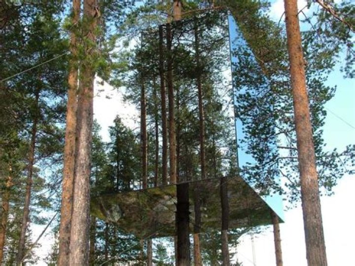 Where is the Mirrorcube treehouse?