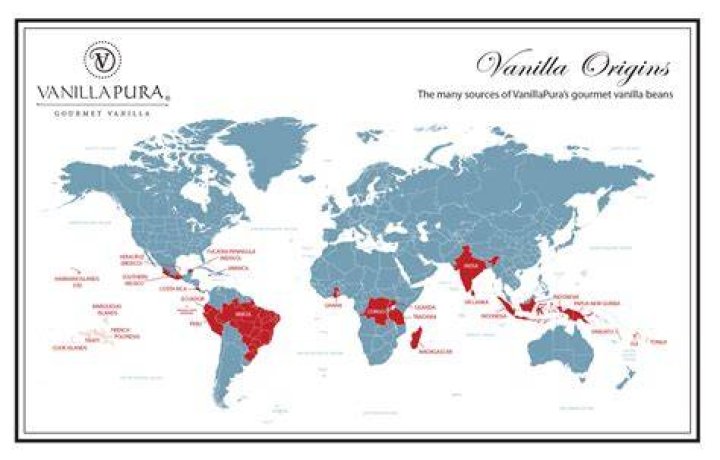 Where was vanilla extract originated?