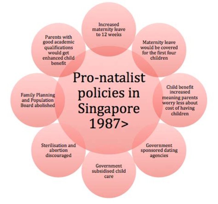 Which countries are pro natalist?