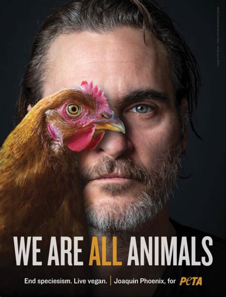 Who created PETA