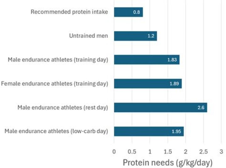 Why do endurance athletes need protein