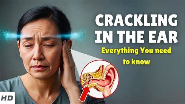 Why do I hear scratching at night