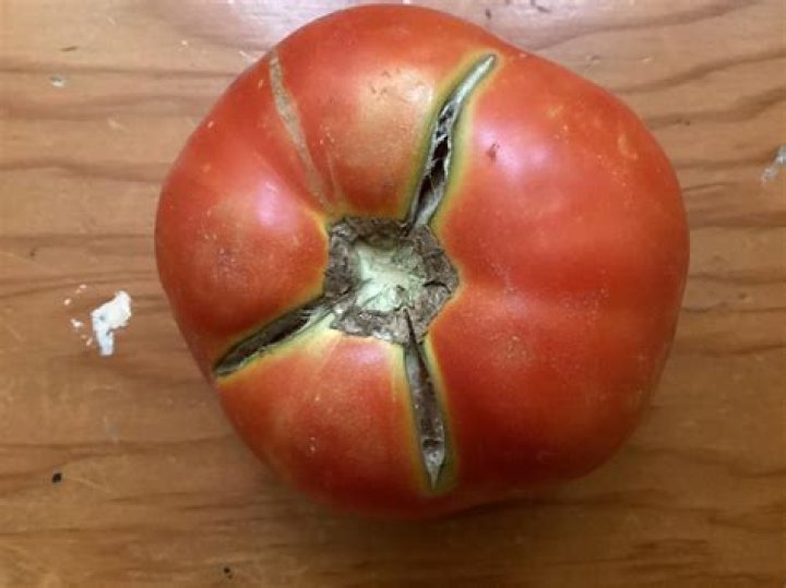 Why do my tomatoes have cracks