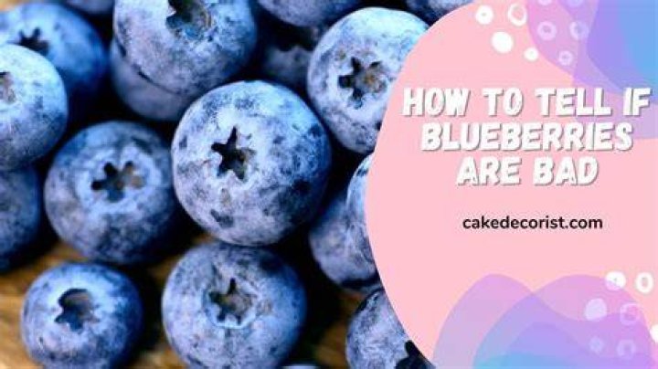 Why do people like blueberries