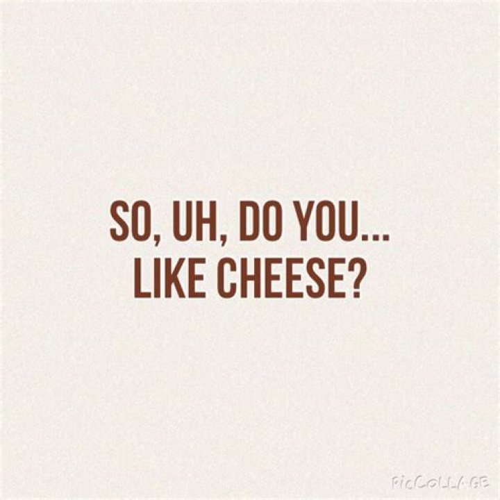 Why do you like cheese?