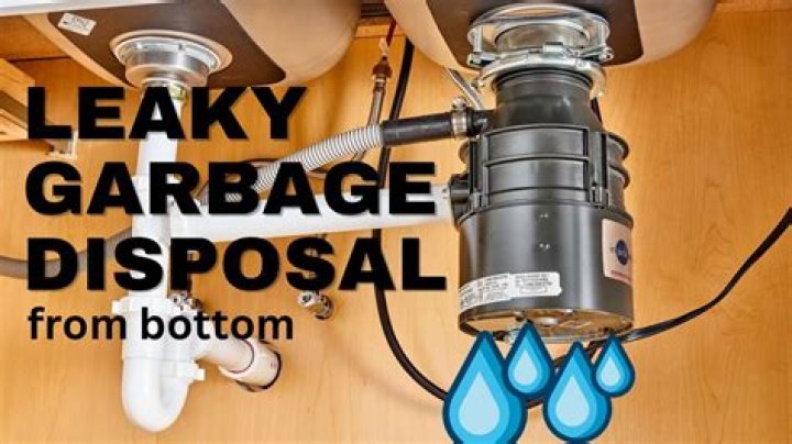 Why does a garbage disposal leak from the bottom