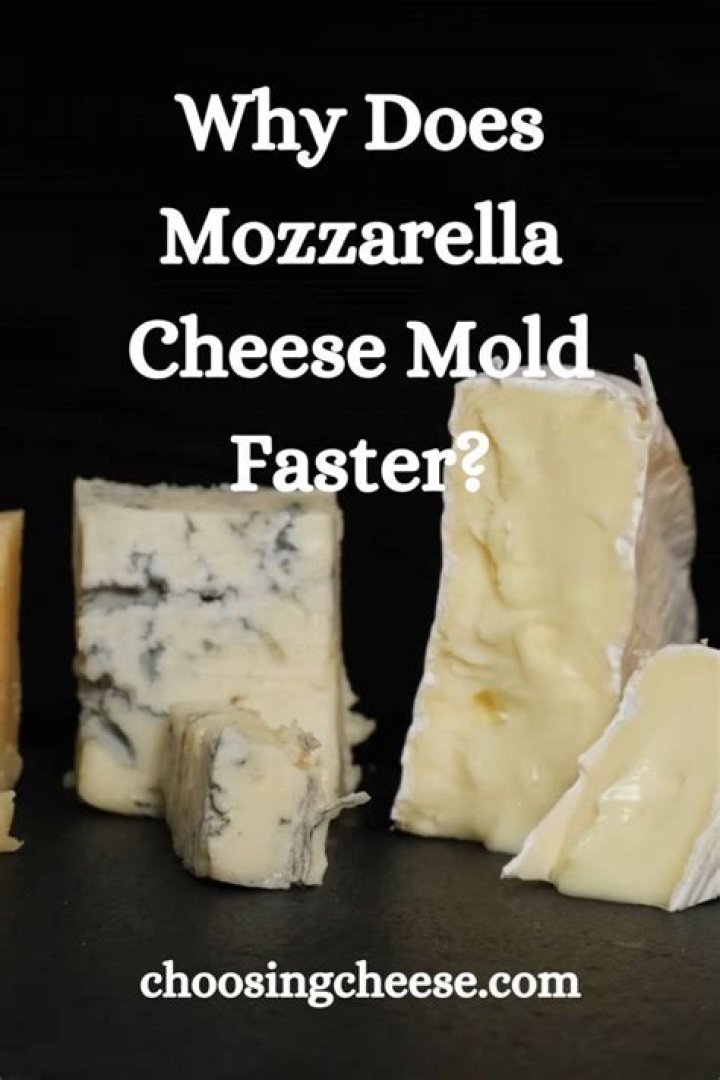 Why does mozzarella cheese mold faster?
