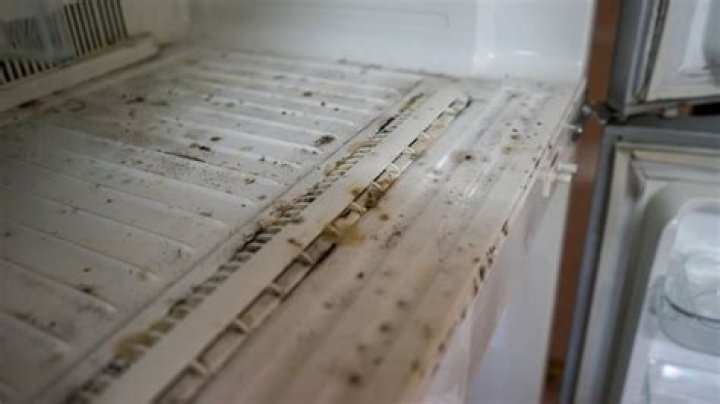 Why does refrigeration prevent mold?