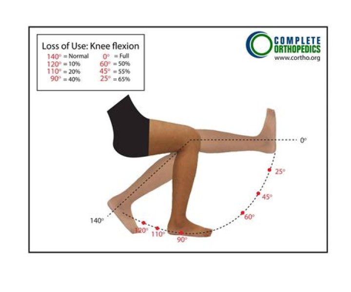 Why does rennin work best at 40 degrees?