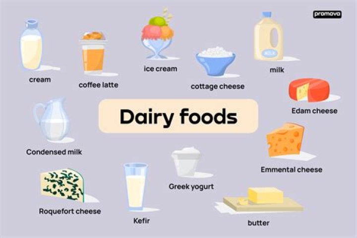 Why is cheese considered dairy?