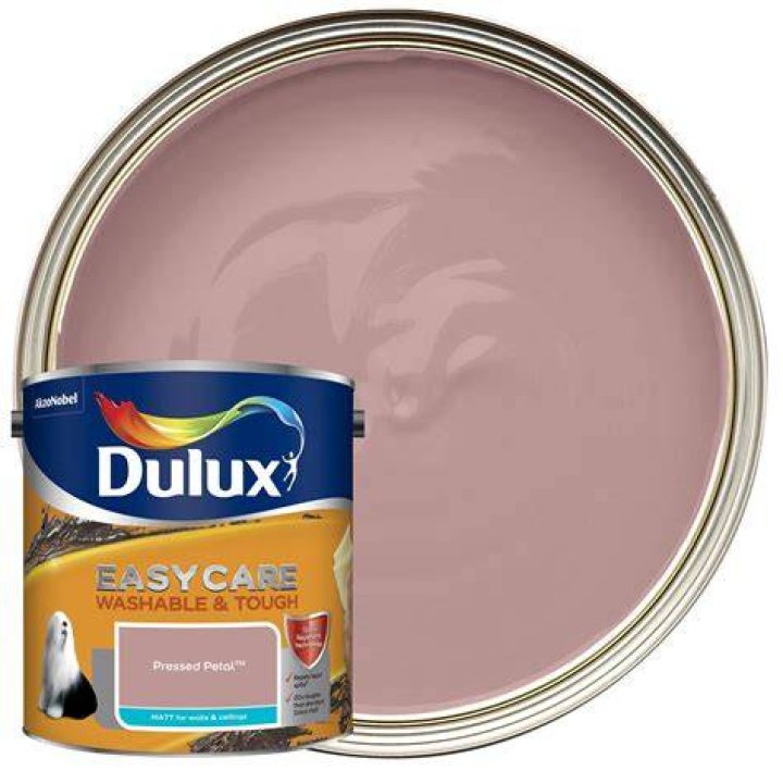 Why is emulsion paint used?