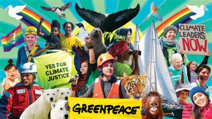 Why is Greenpeace bad?