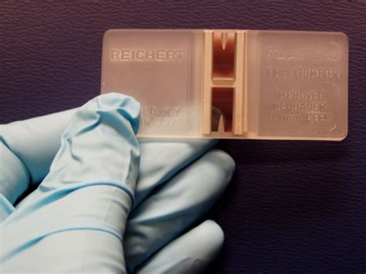 Why is Haemocytometer used