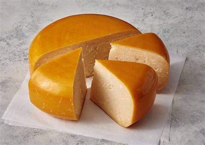Why is mold on cheese safe?