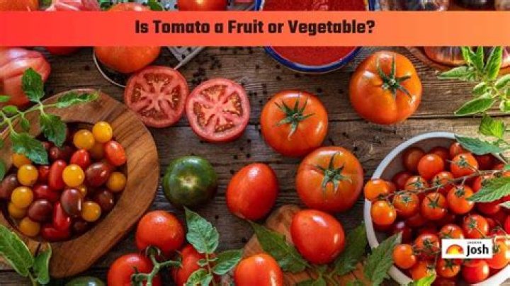 Why is tomato a fruit not vegetable?