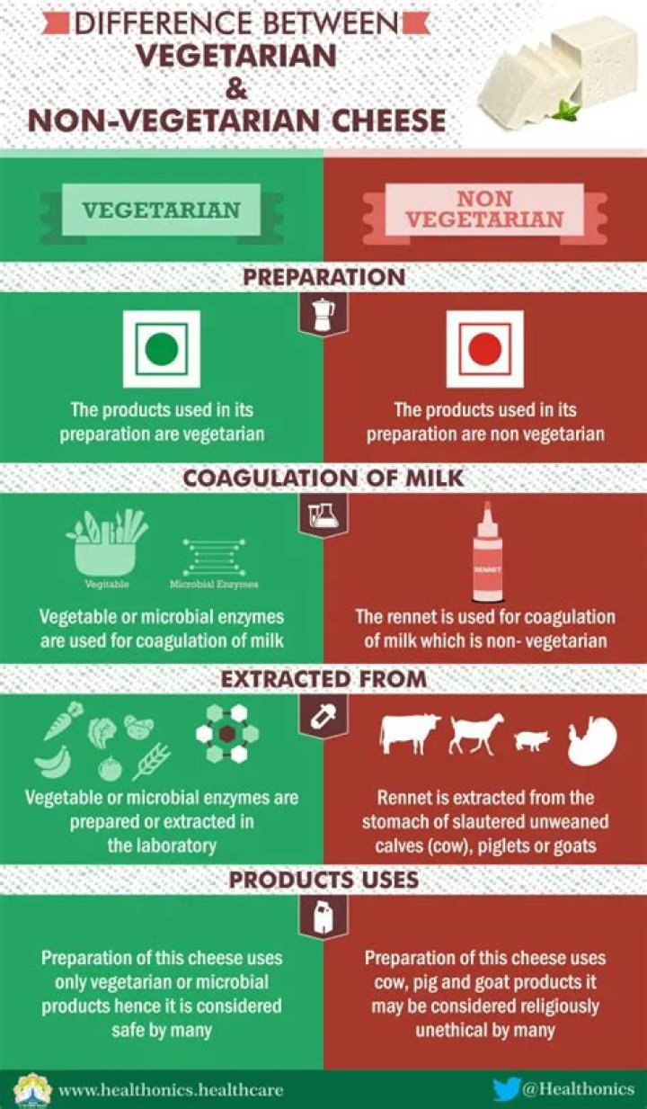 Why is vegetarian cheese different?