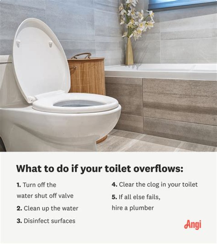Why would a toilet overflow