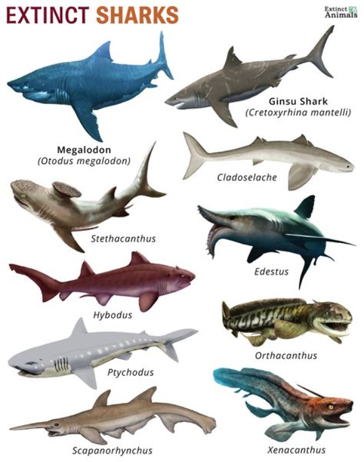 Will the name Gary become extinct?
